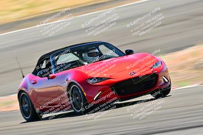 media/Mar-23-2025-West Coast Racing (Sun) [[de161b708f]]/Blue Group/Session 3 (Turns 3 and 5)/